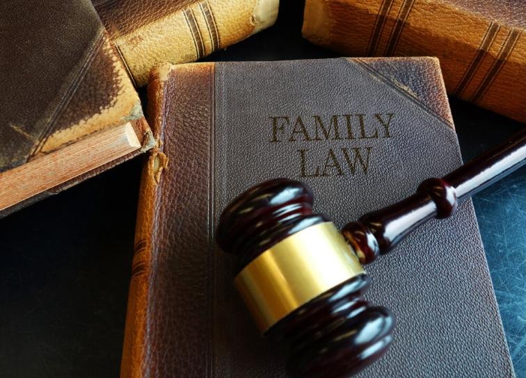 Lawyers and Law Firms